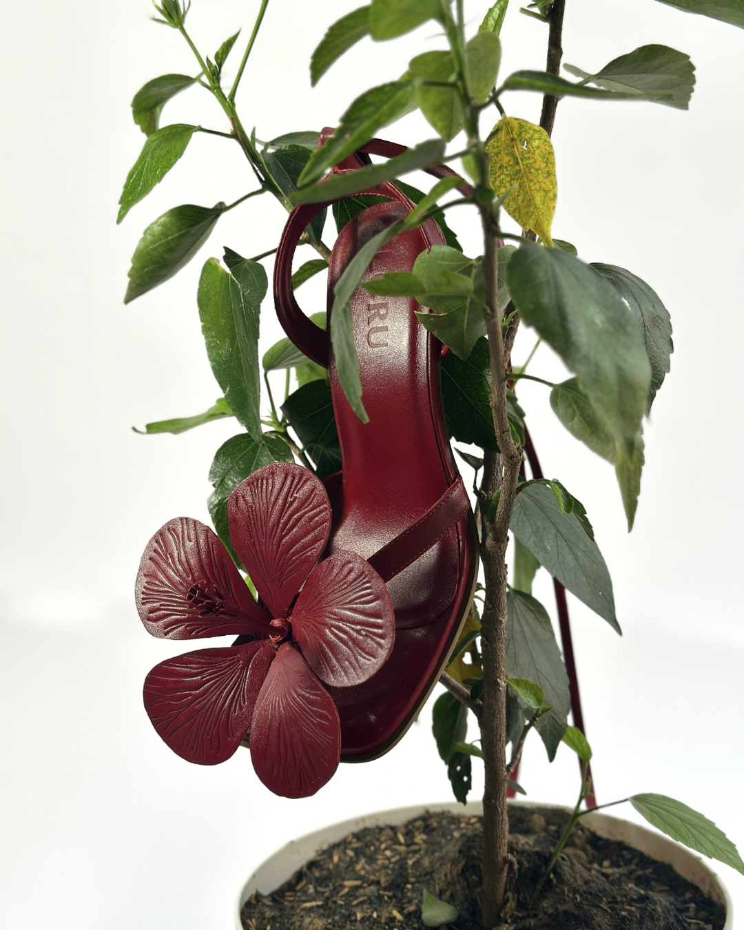 Gumamela Heels in Sangria